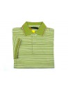Etro Men's Polo Art. 164089256 503 Green Striped