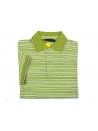 Etro Polo Uomo Art. 164089256 503 Rigata Verde