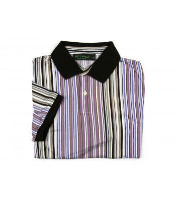 Etro Men's Polo Art. 121844035 801 Multicolor Striped Brown