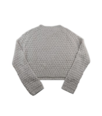 Blugirl Sweater Woman Art. 9125 Over Raglan Ice 2