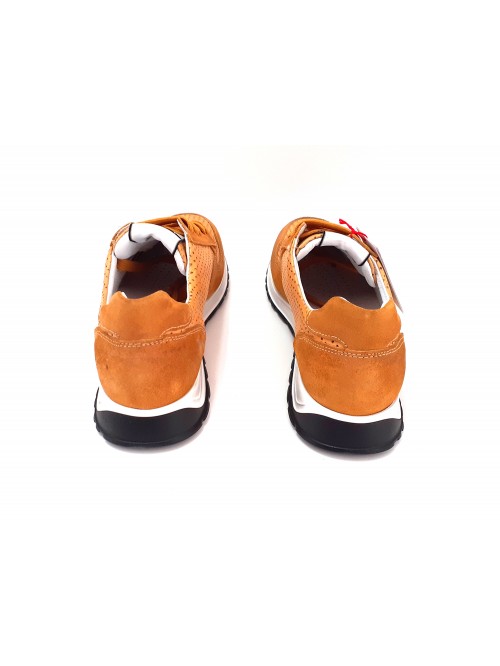 Exton Scarpa Uomo Art. 751 Anticato Enna Ocra