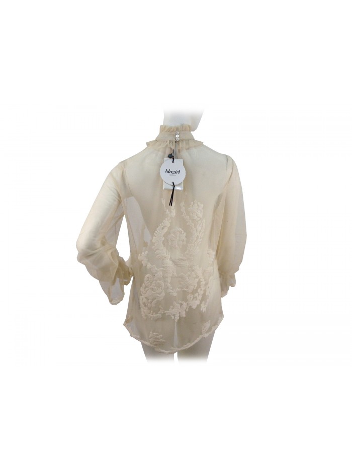 Transparent Blouse Woman Shirt with embroidery on color